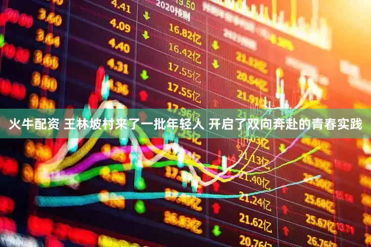 火牛配资 王林坡村来了一批年轻人 开启了双向奔赴的青春实践